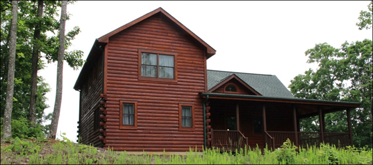 Professional Log Home Borate Application  Eure,  North Carolina